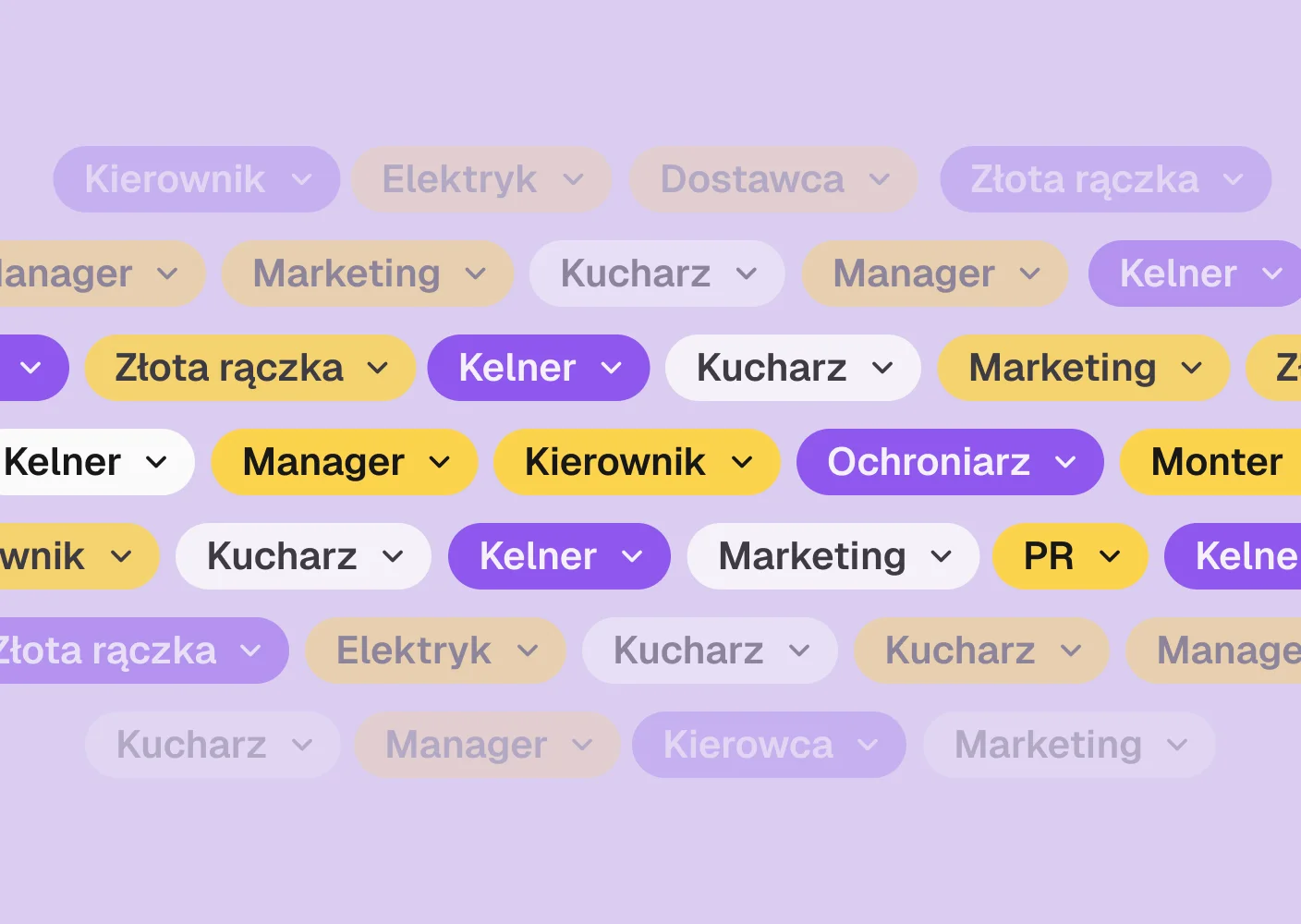 Managing roles and permissions in Time8